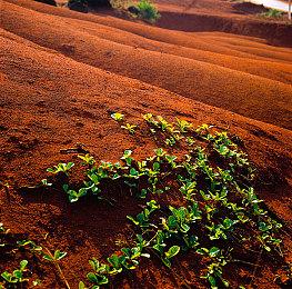 《黑帝斯2》首个重大更新“奥林匹斯”发布 添加Mac支持